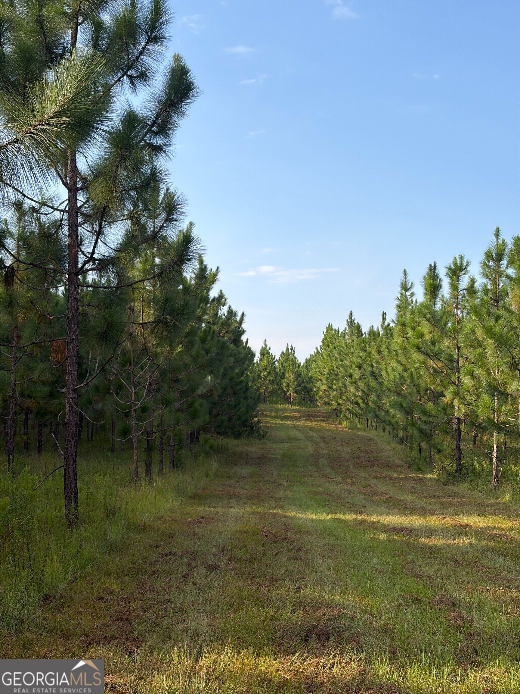 0 Oak Grove Road Pine Mountain GA 31822