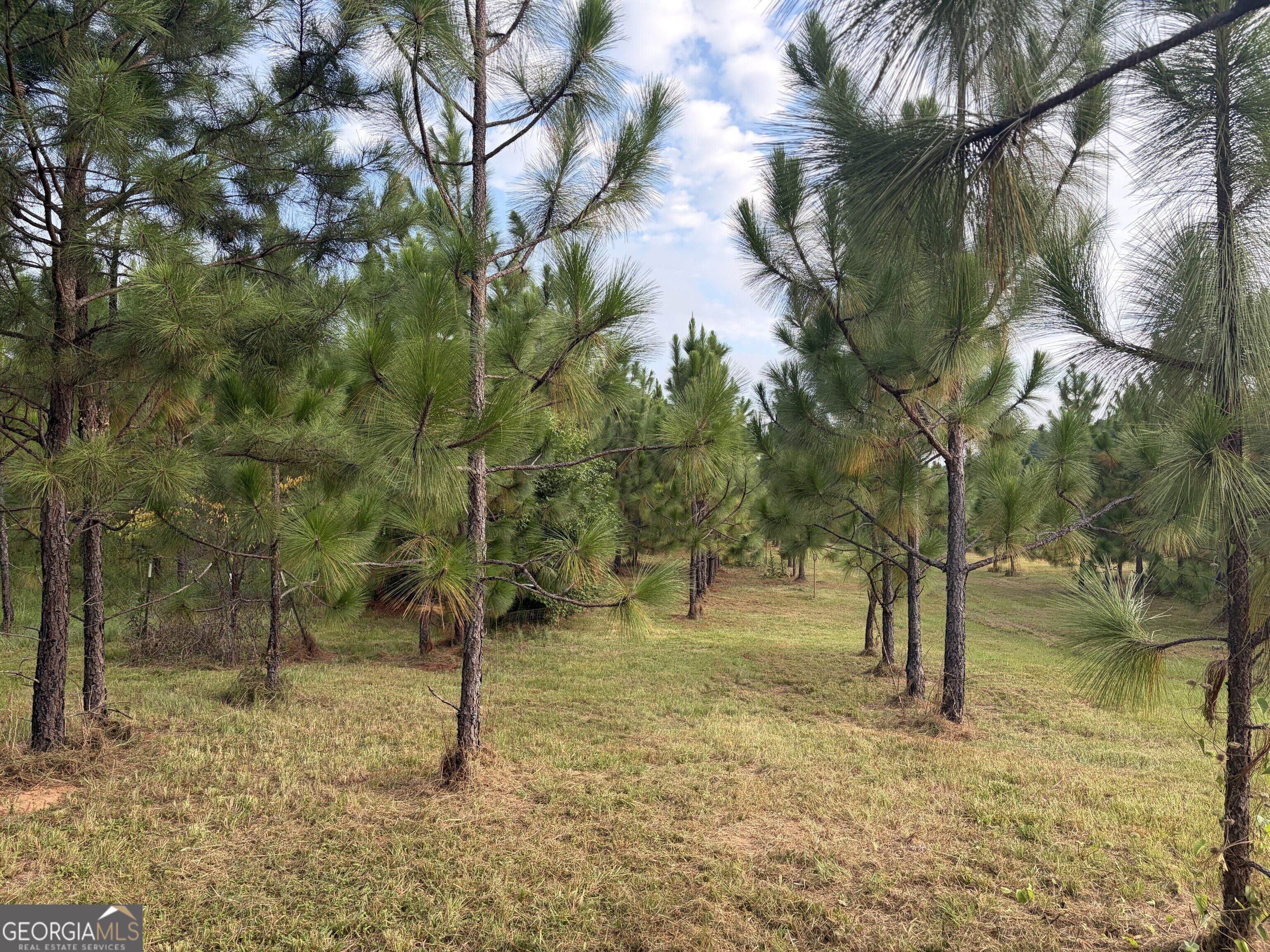0 Oak Grove Road Pine Mountain GA 31822
