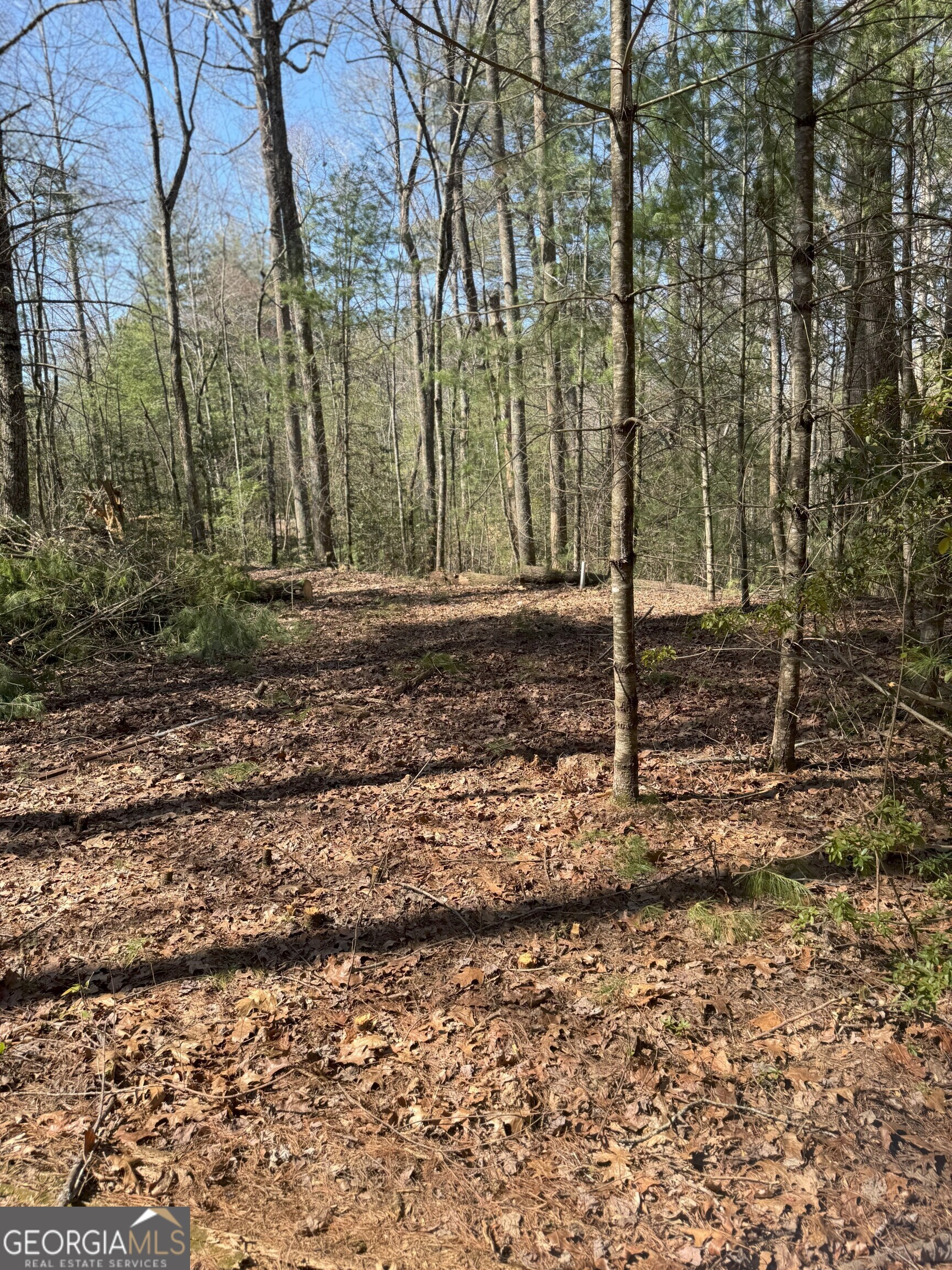 0 Bartox Drive Ellijay GA 30540