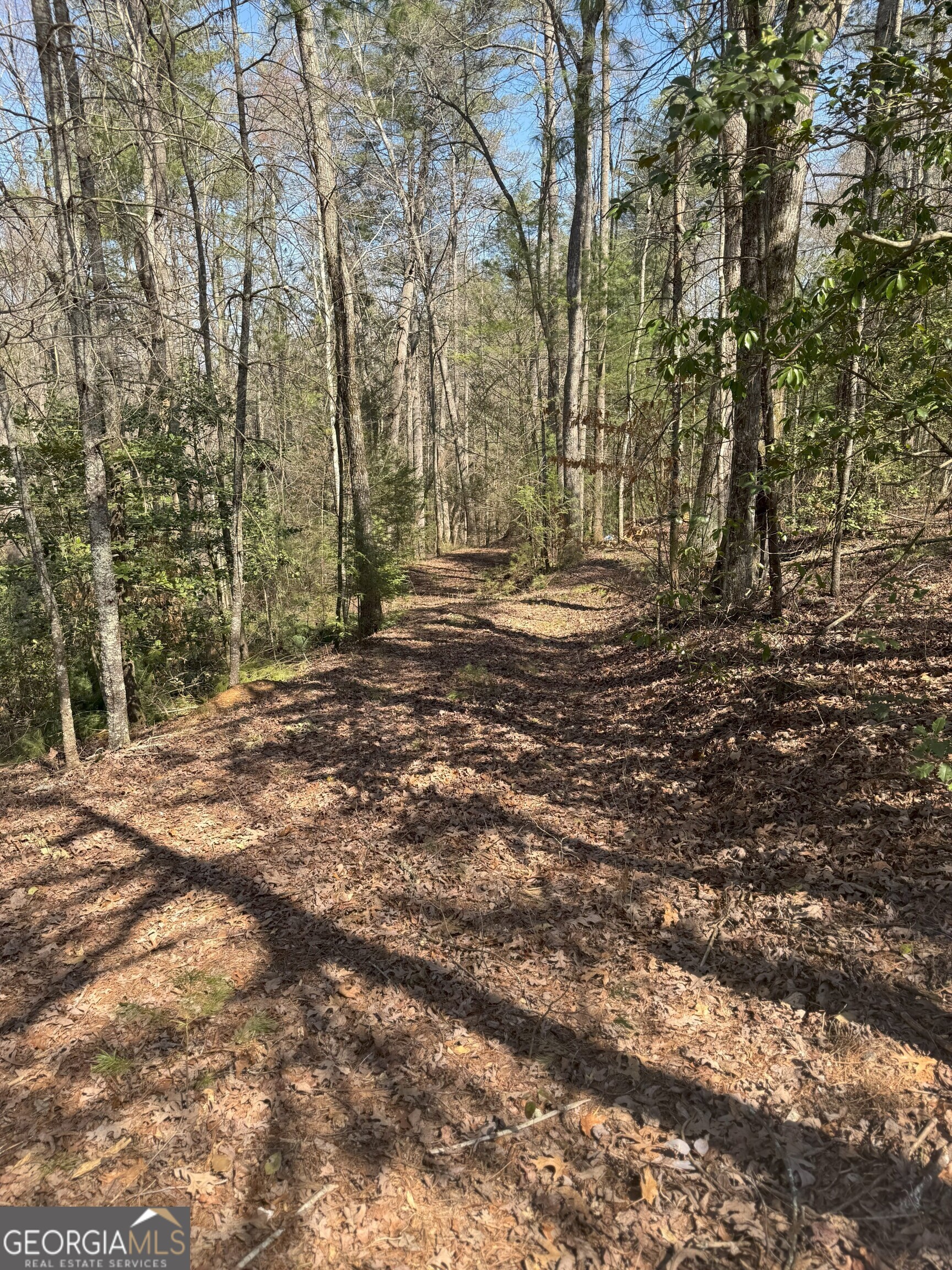 0 Bartox Drive Ellijay GA 30540