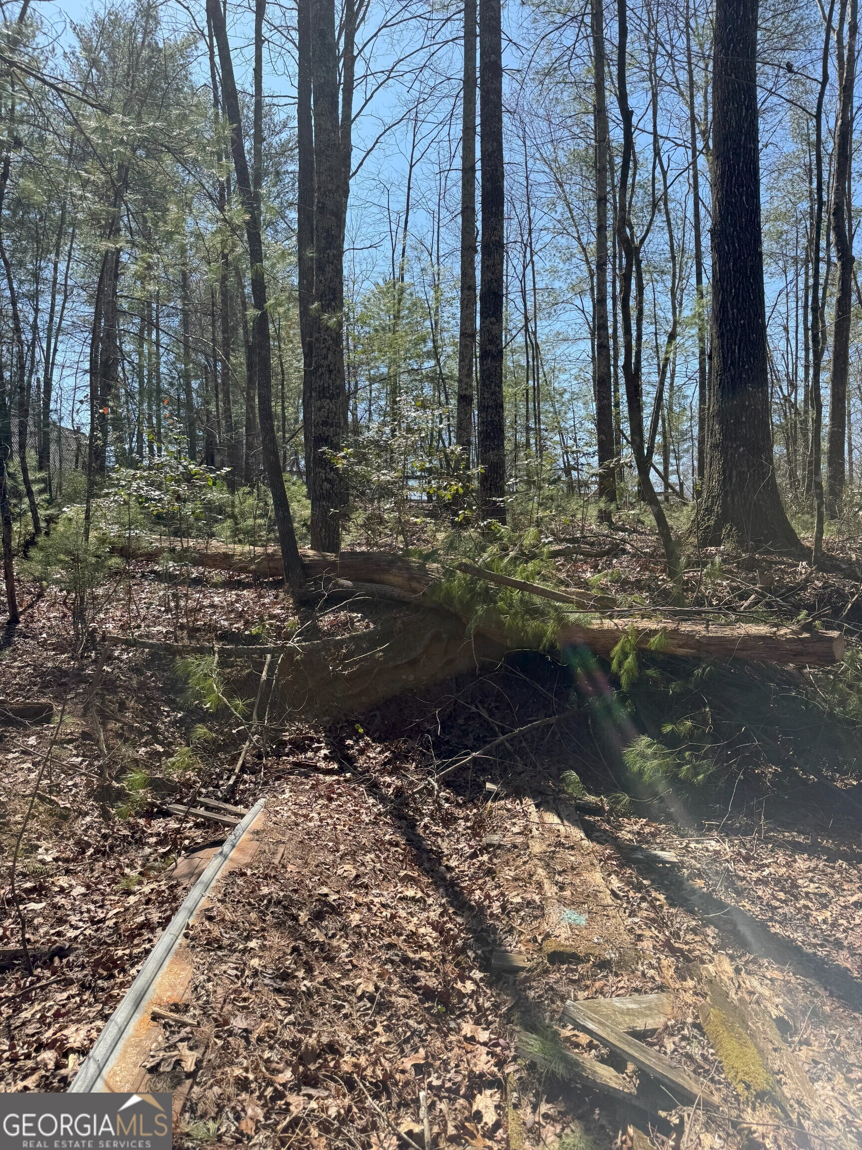 0 Bartox Drive Ellijay GA 30540