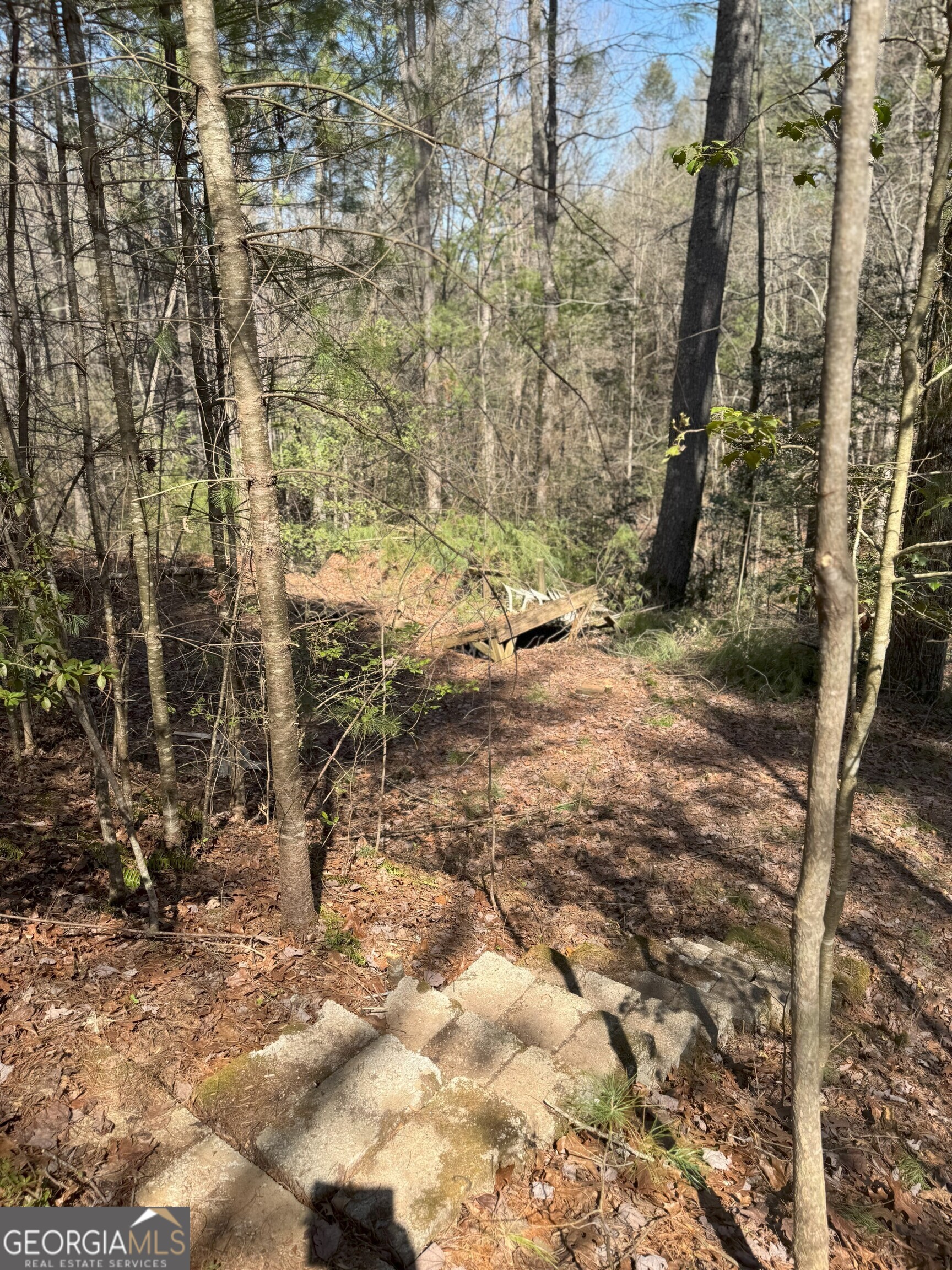 0 Bartox Drive Ellijay GA 30540