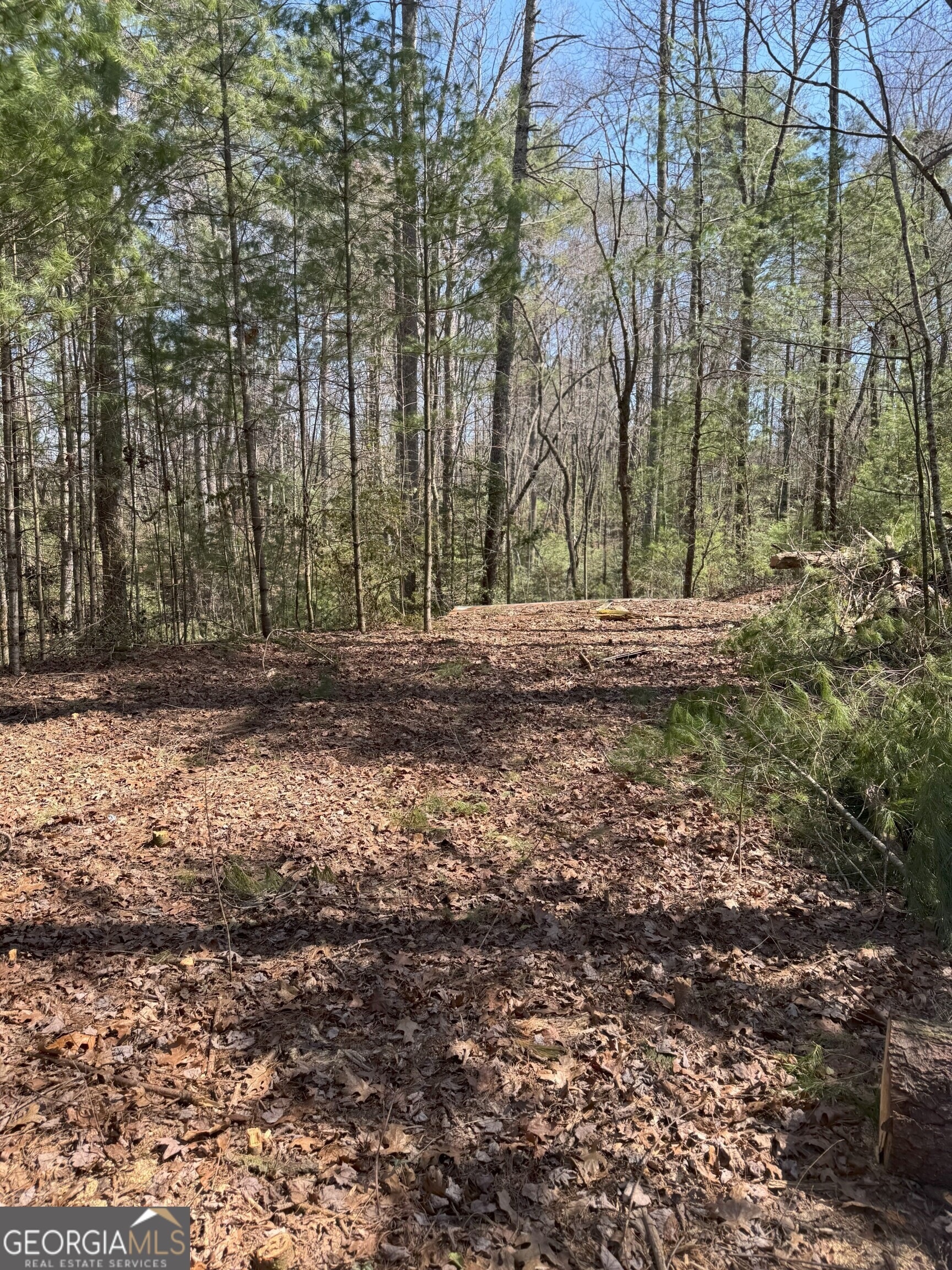 0 Bartox Drive Ellijay GA 30540
