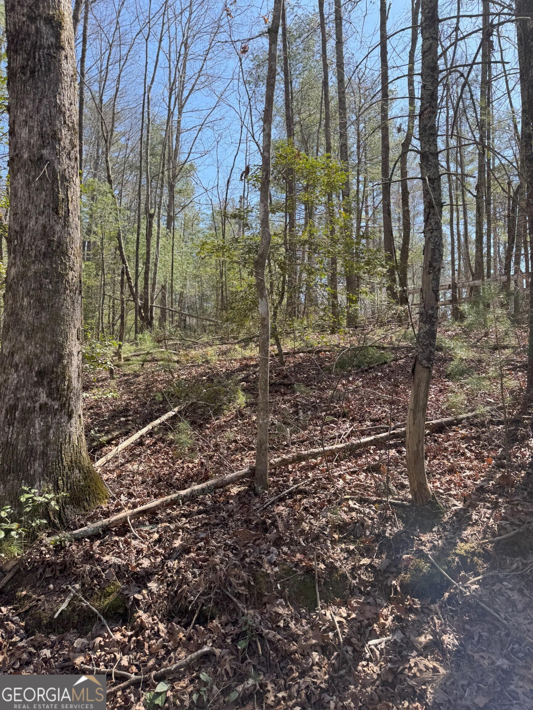 0 Bartox Drive Ellijay GA 30540