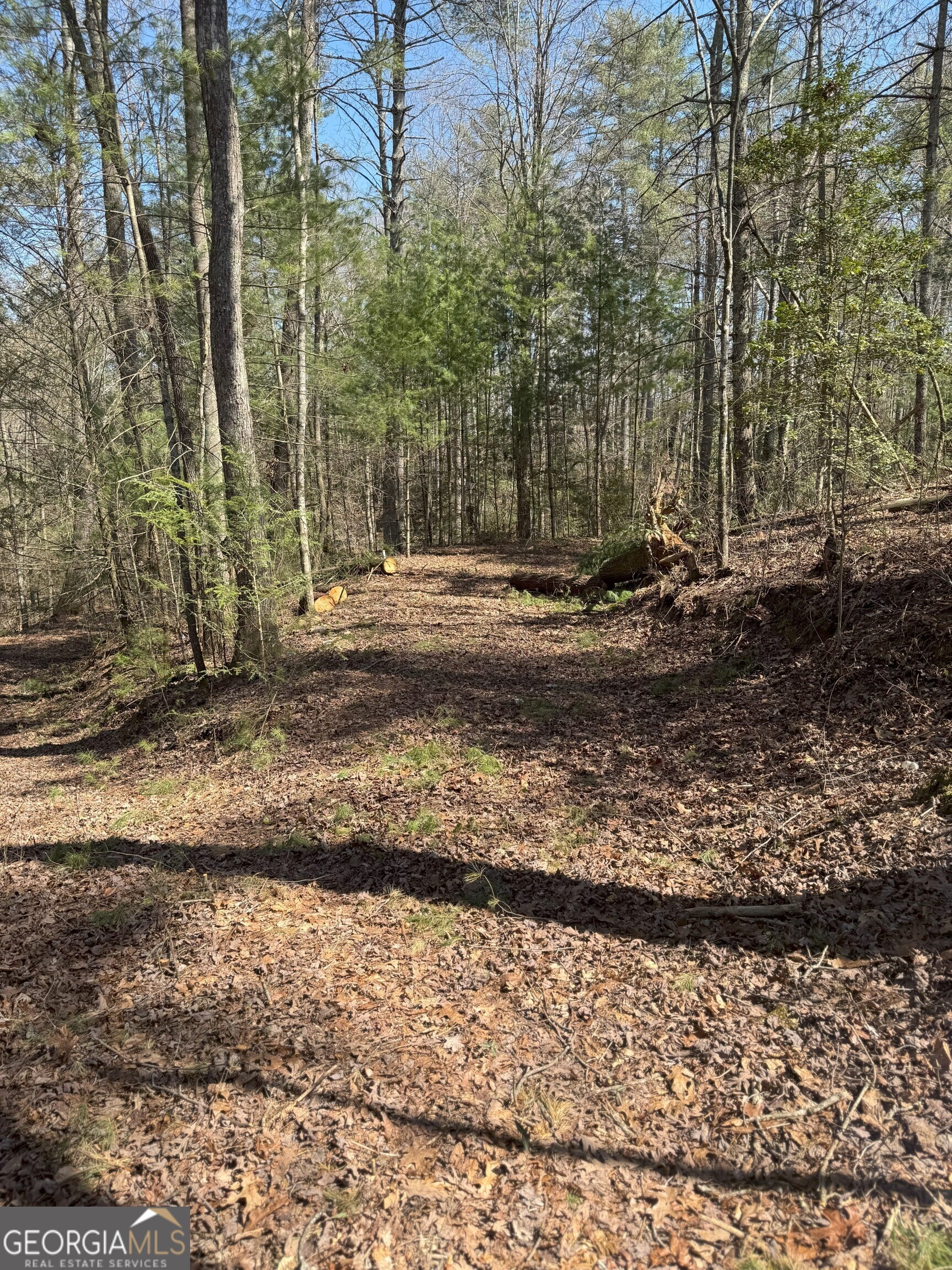 0 Bartox Drive Ellijay GA 30540