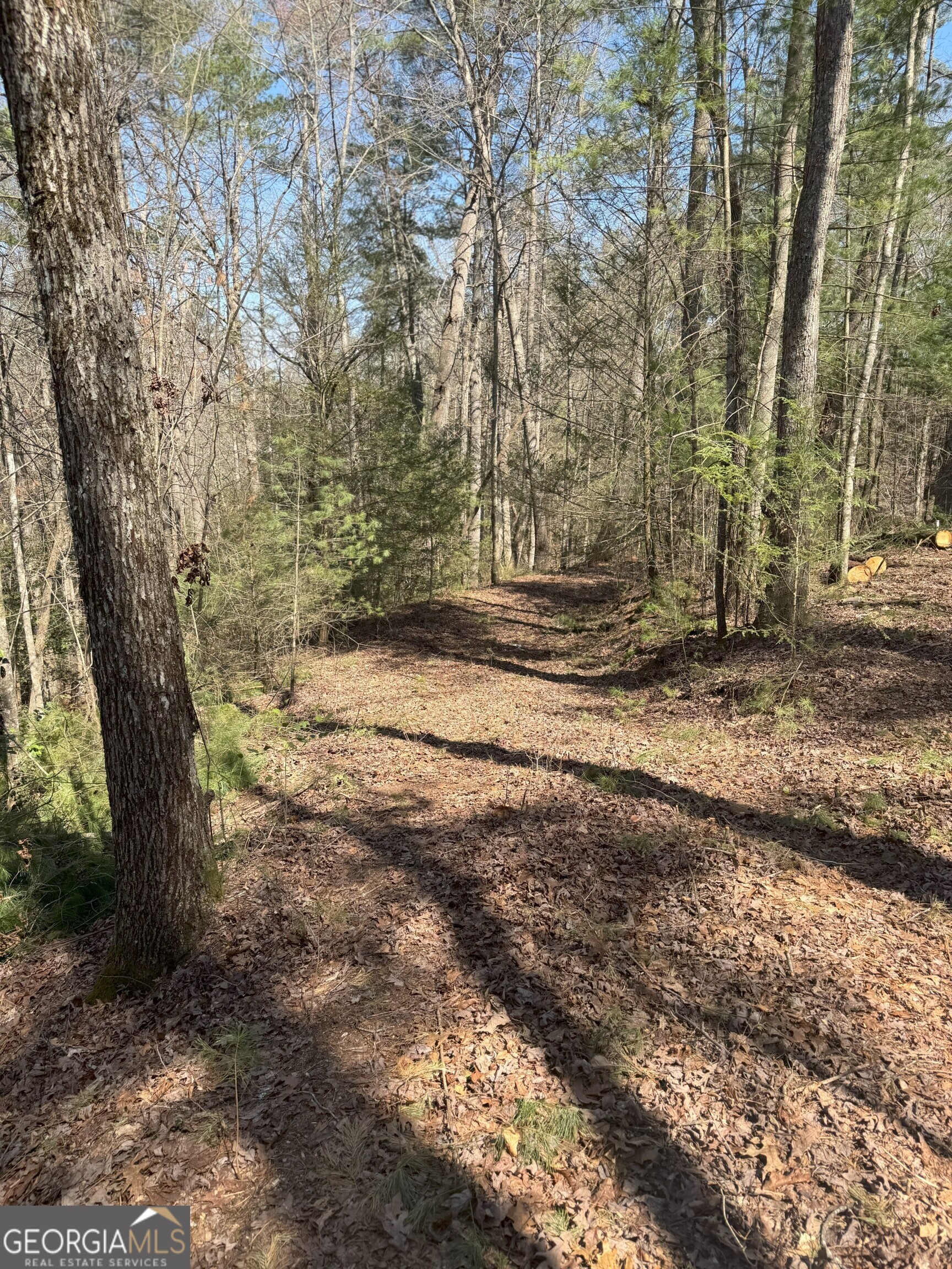 0 Bartox Drive Ellijay GA 30540