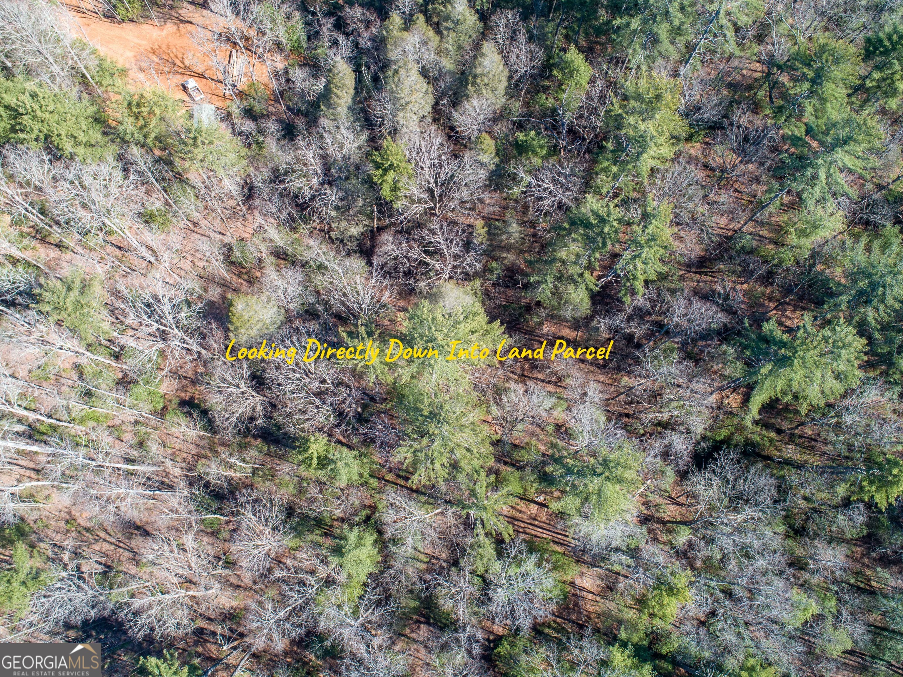 0 Bartox Drive Ellijay GA 30540