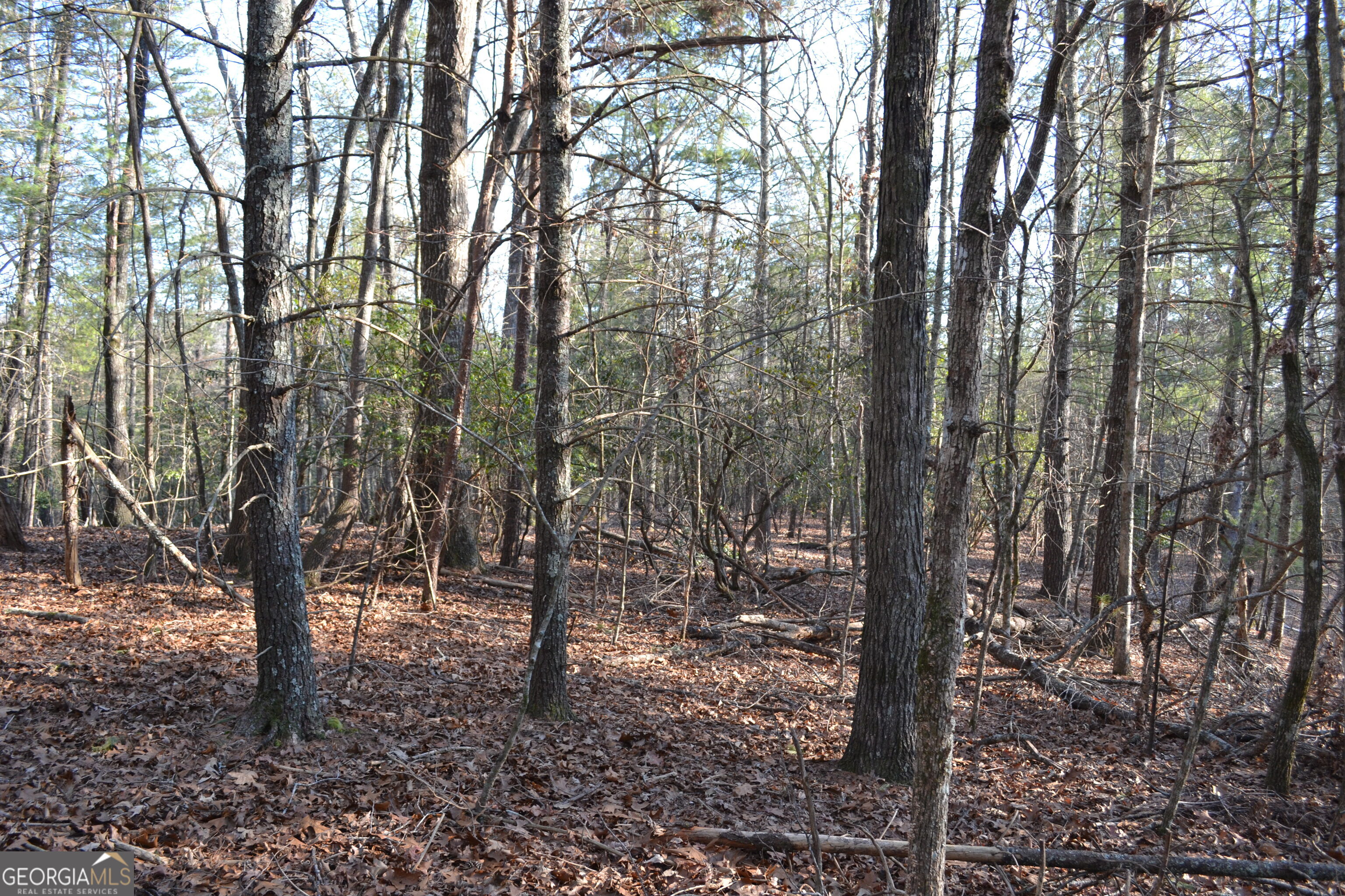 0 Mill Creek Trail Cleveland GA 30528