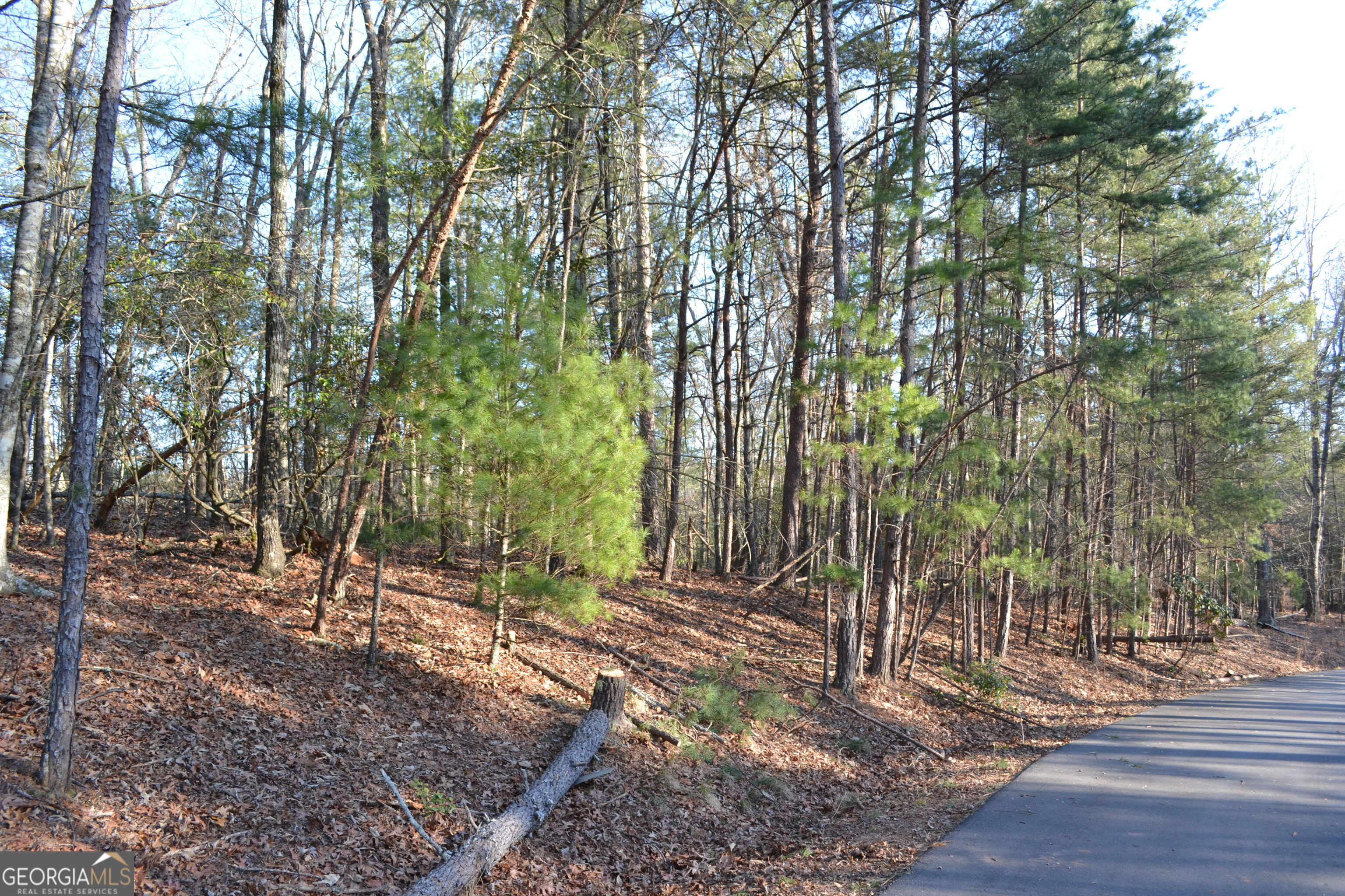 0 Mill Creek Trail Cleveland GA 30528