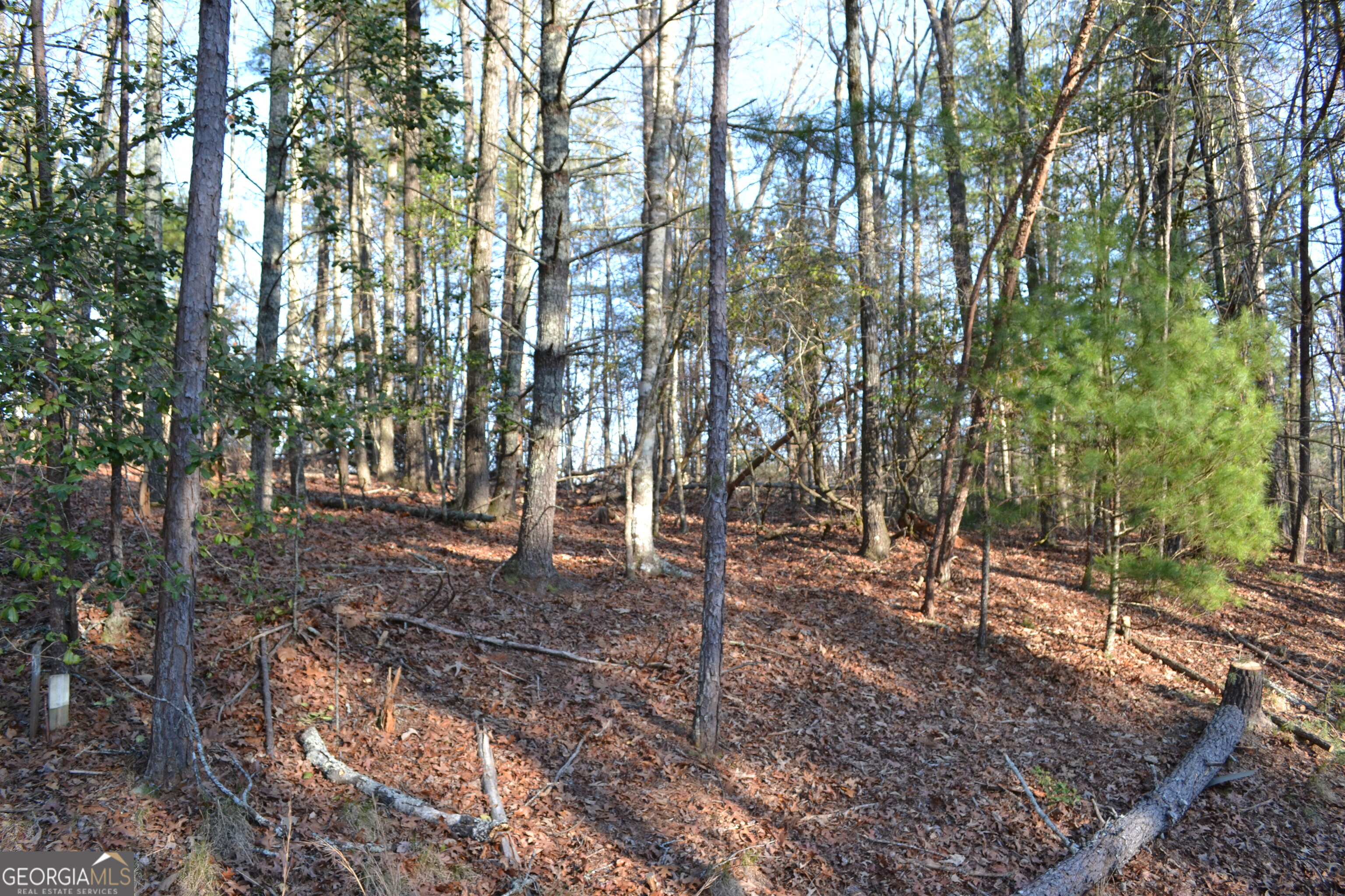 0 Mill Creek Trail Cleveland GA 30528