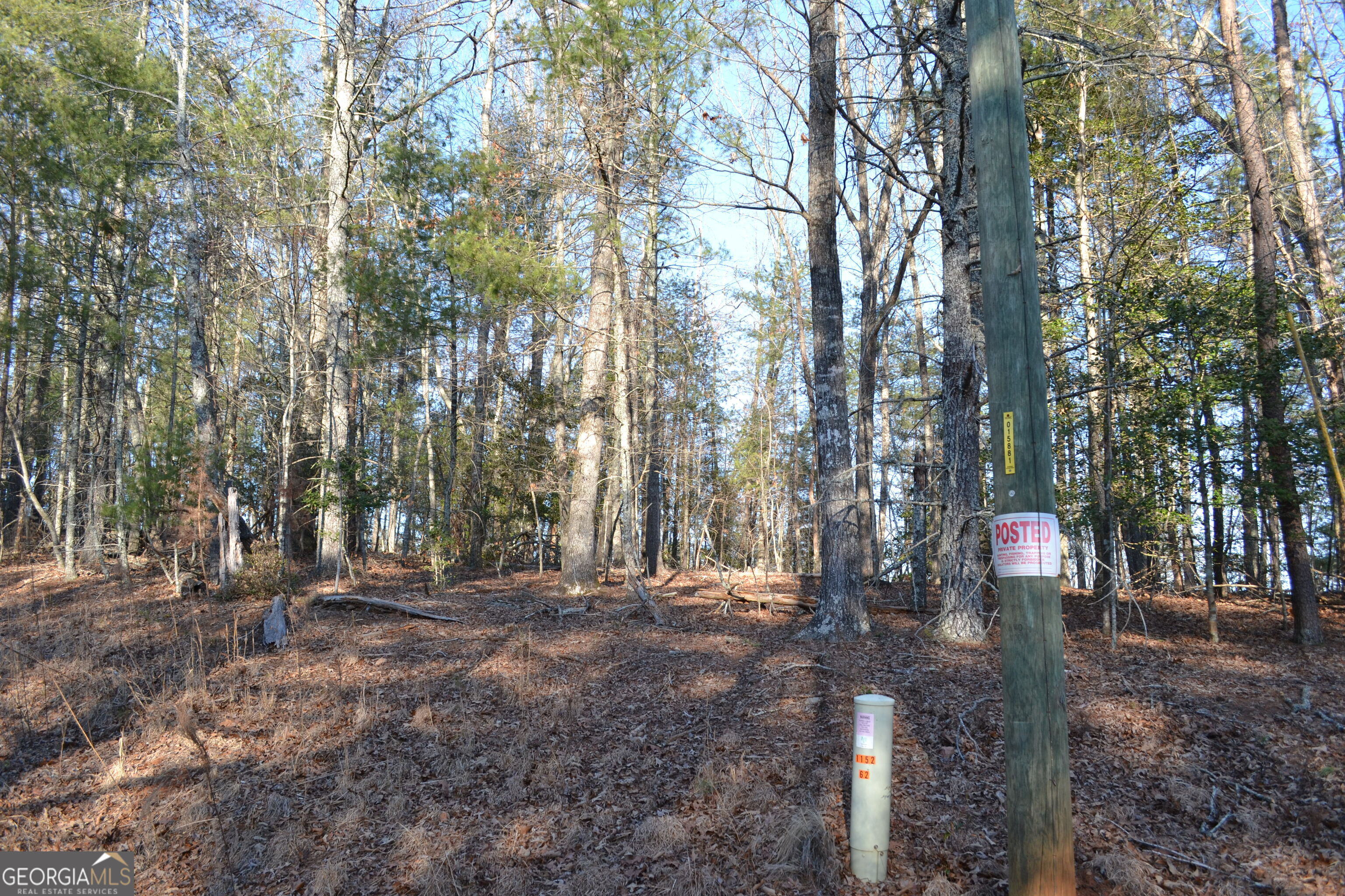 0 Mill Creek Trail Cleveland GA 30528