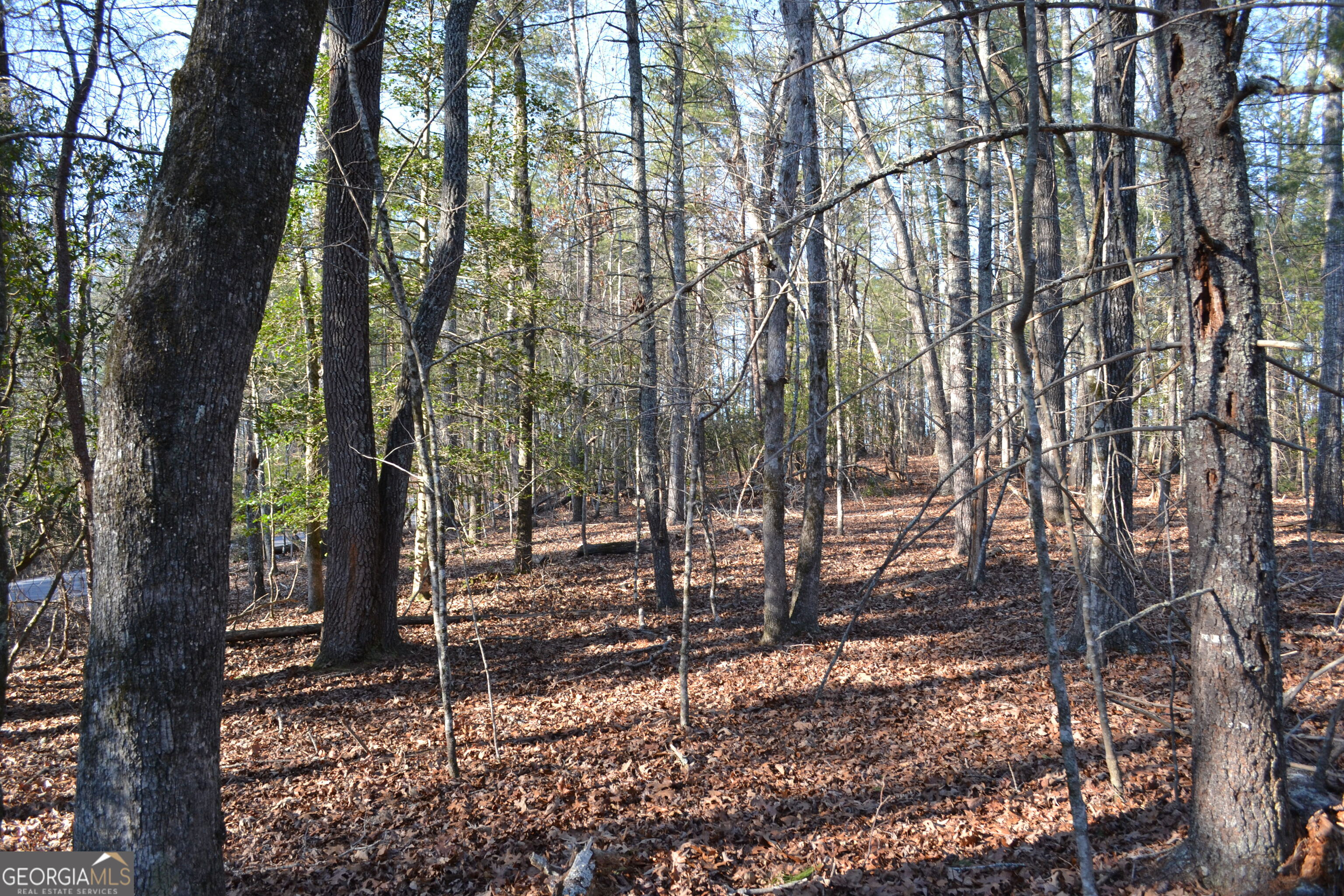 0 Mill Creek Trail Cleveland GA 30528