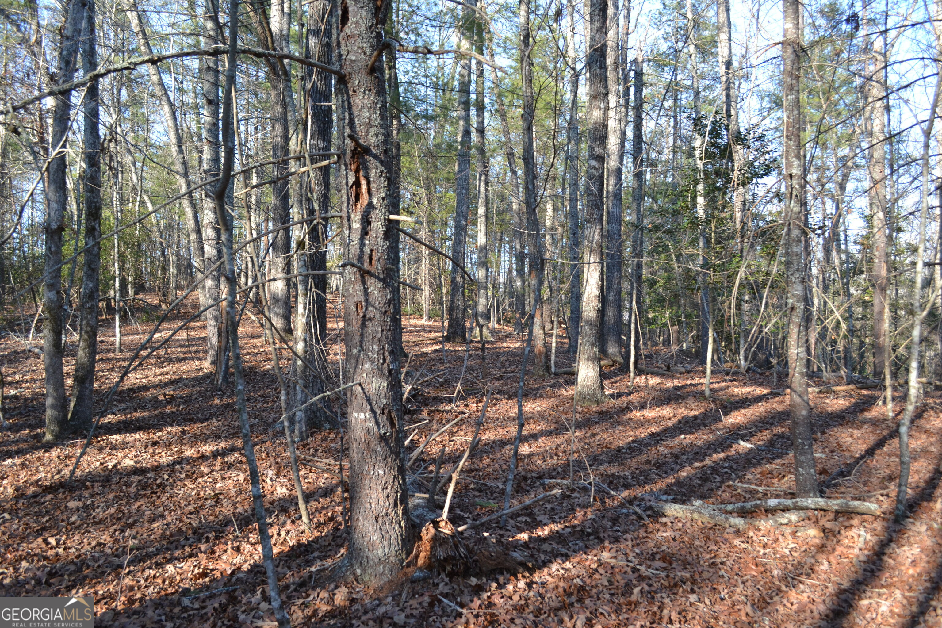 0 Mill Creek Trail Cleveland GA 30528