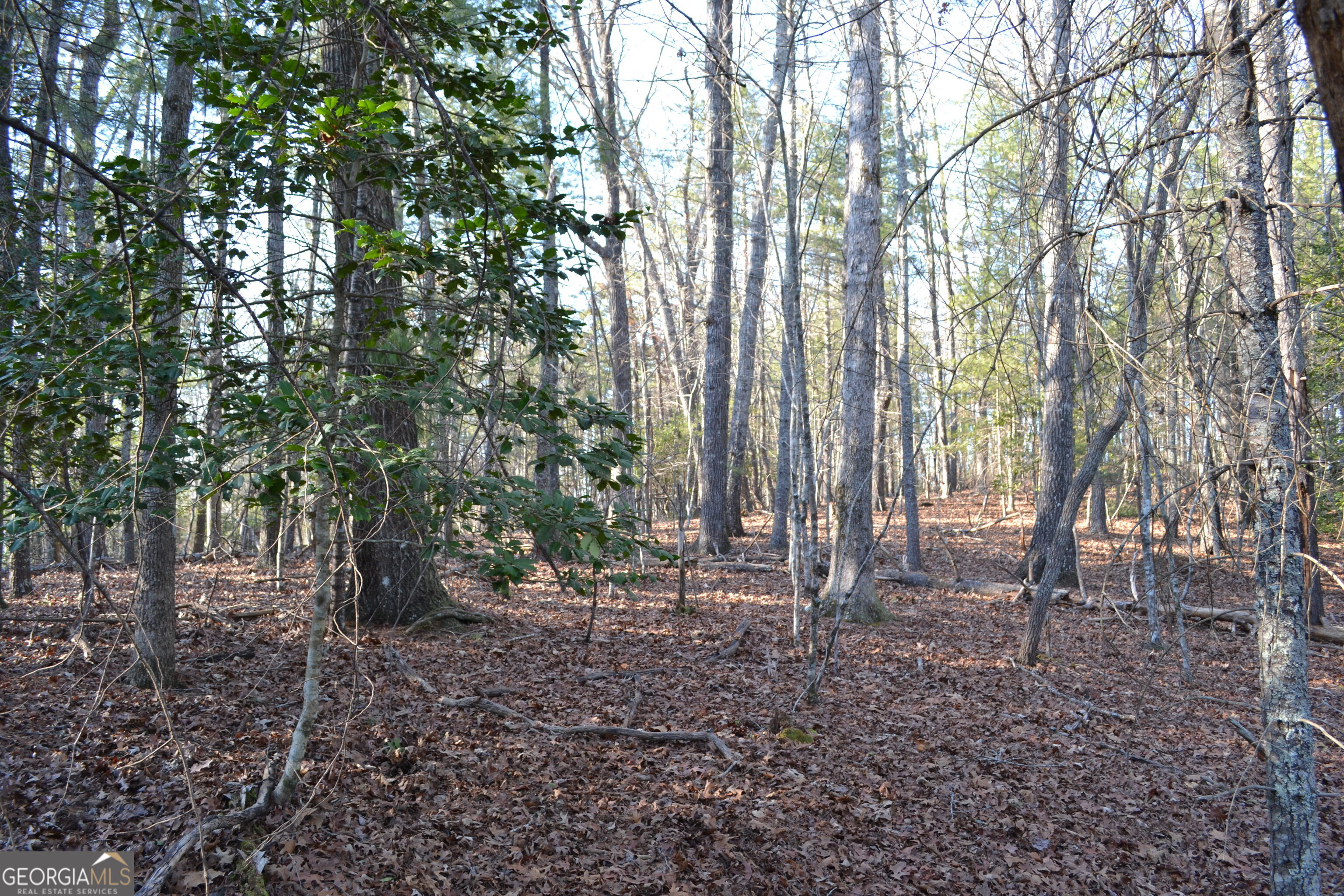 0 Mill Creek Trail Cleveland GA 30528