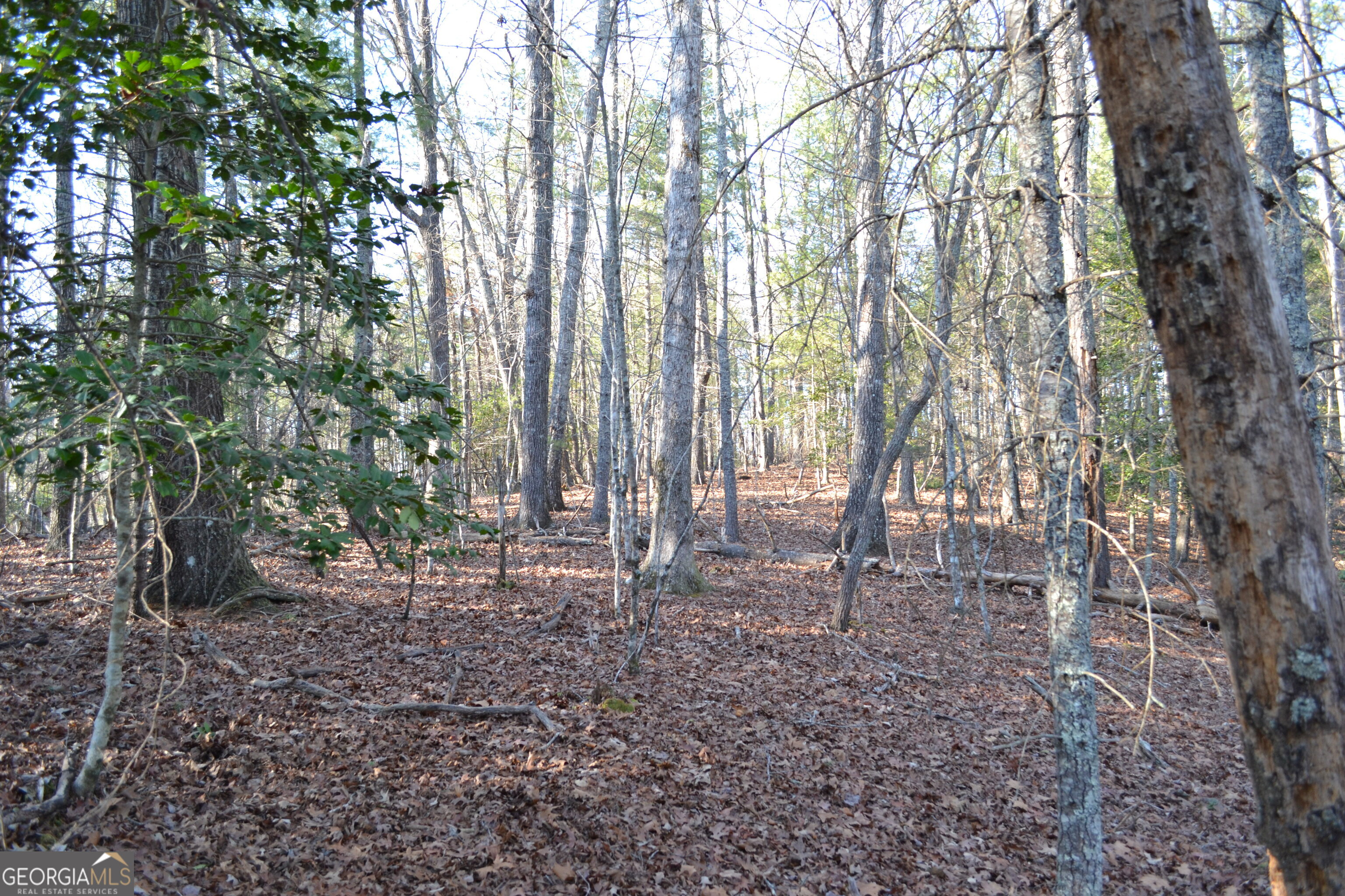 0 Mill Creek Trail Cleveland GA 30528