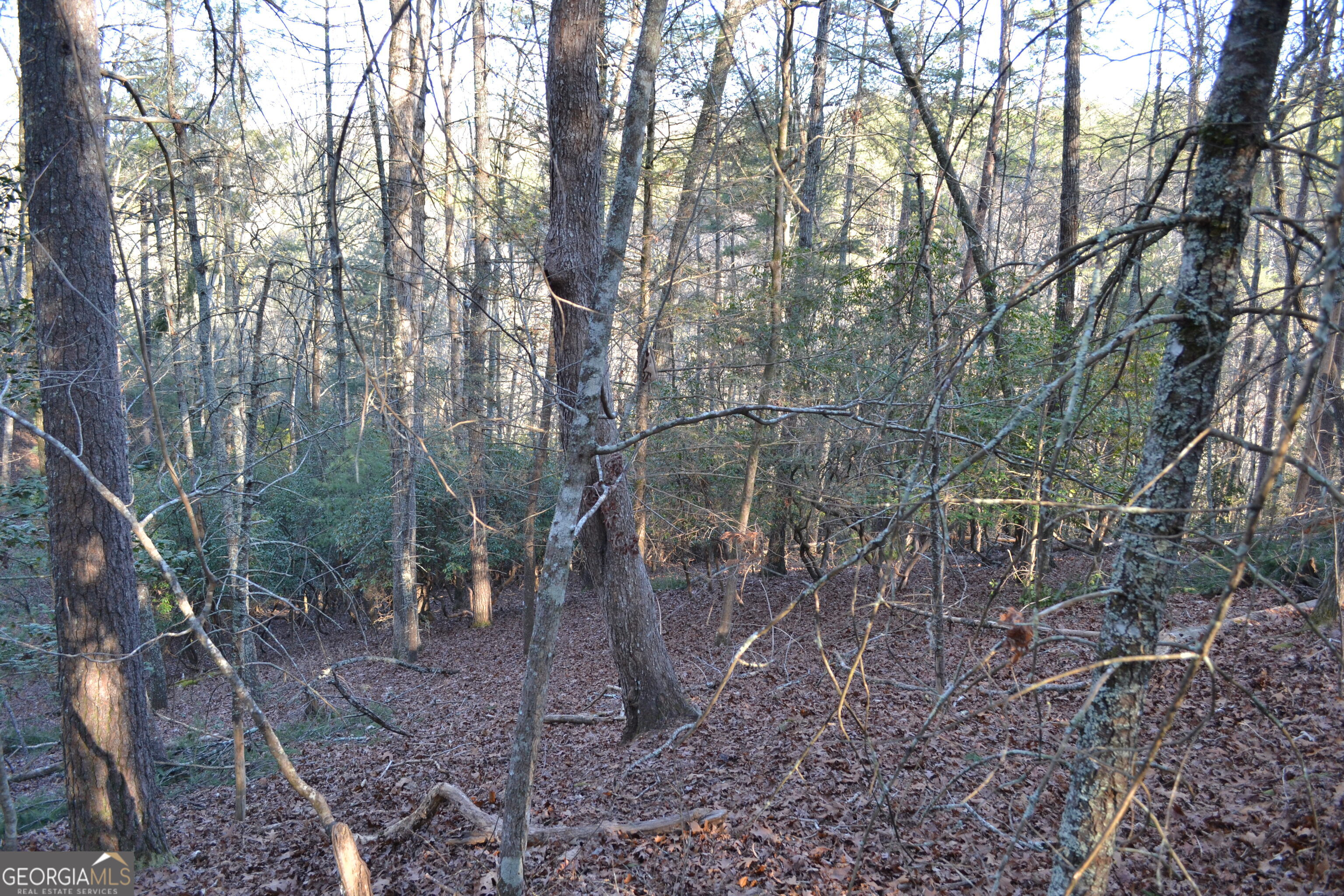 0 Mill Creek Trail Cleveland GA 30528
