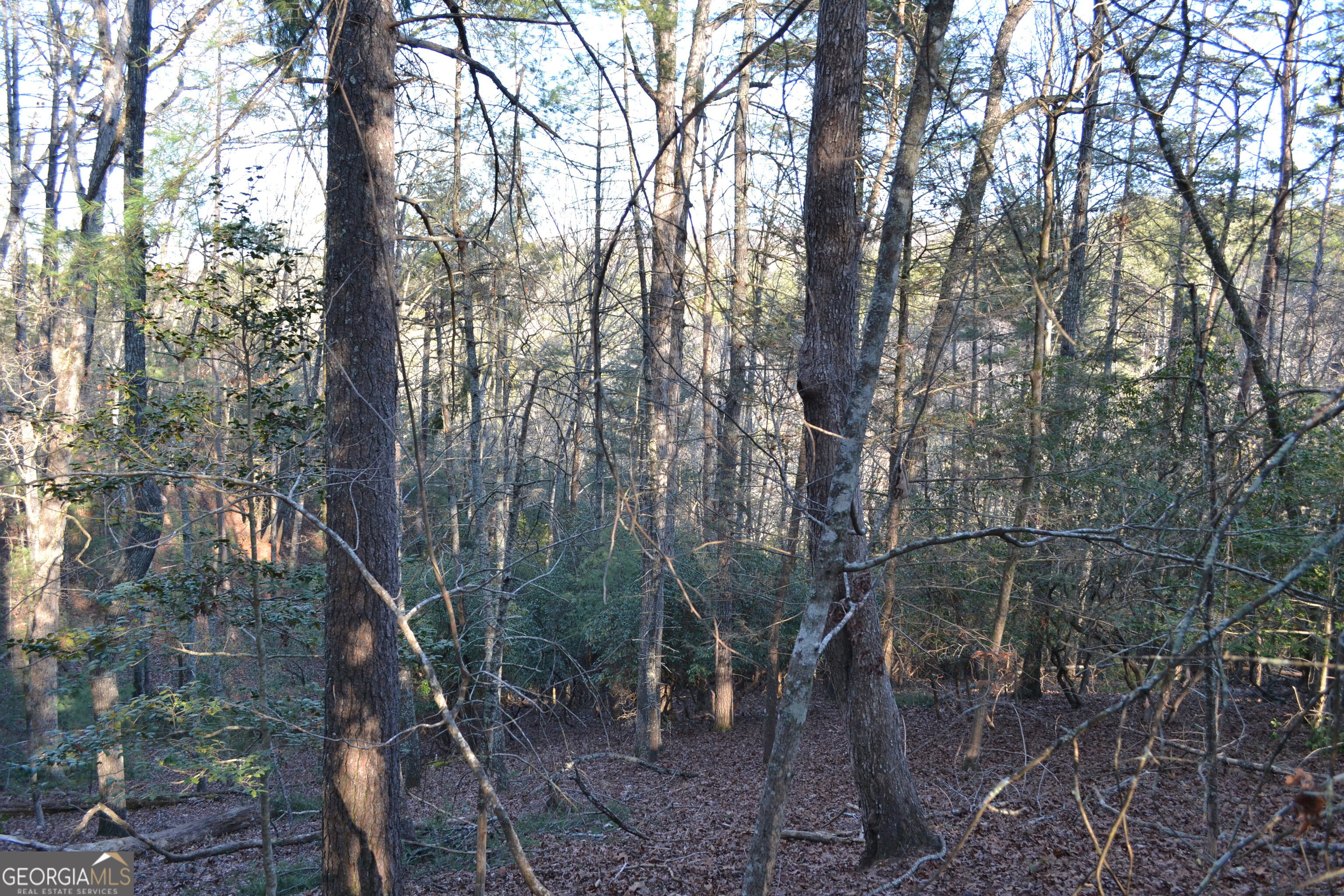 0 Mill Creek Trail Cleveland GA 30528