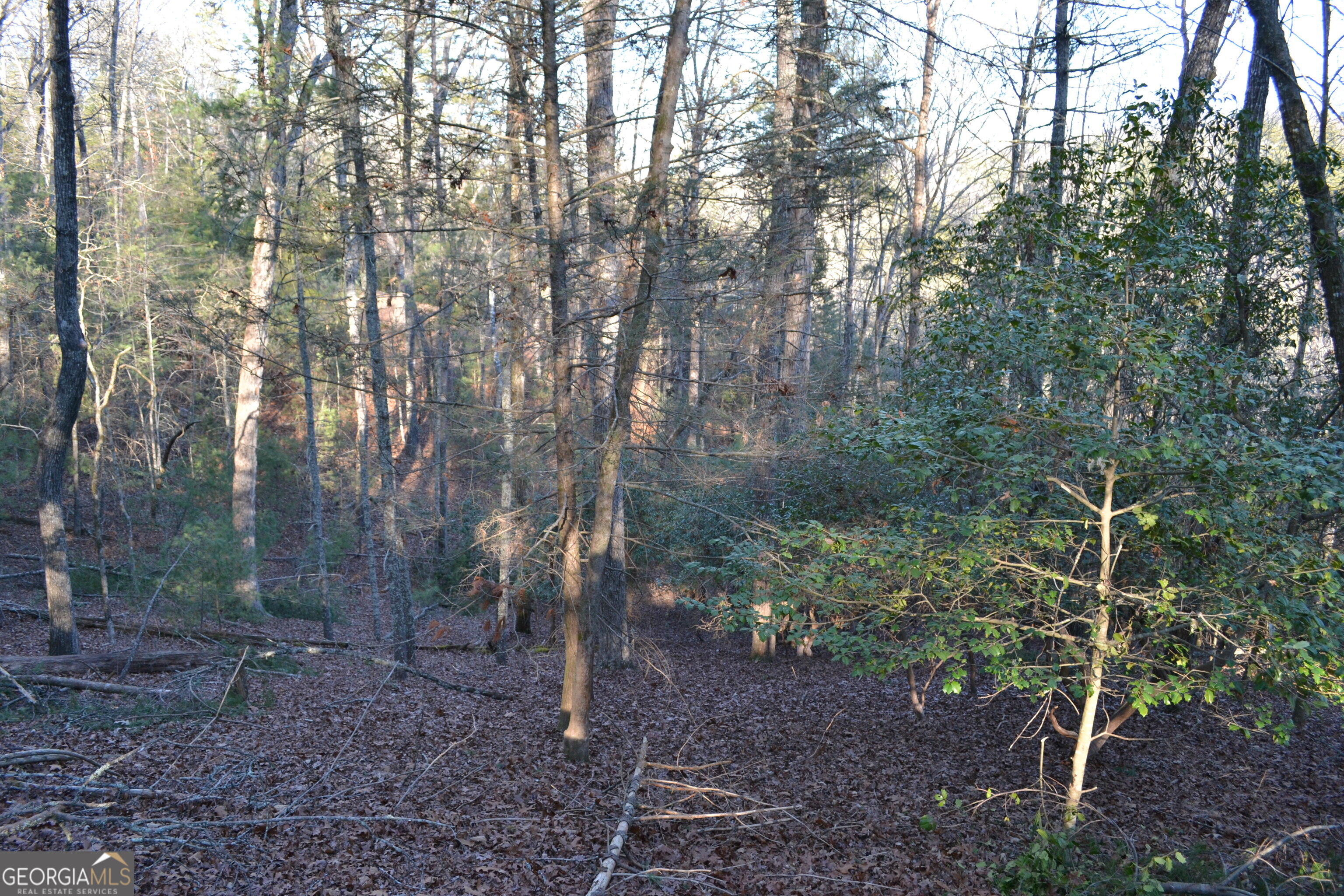 0 Mill Creek Trail Cleveland GA 30528