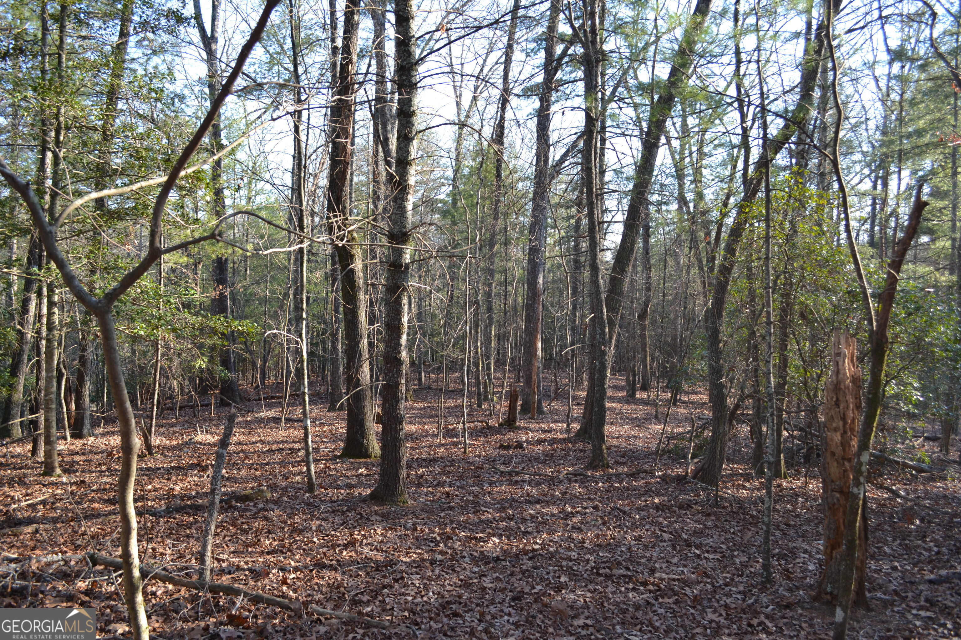 0 Mill Creek Trail Cleveland GA 30528