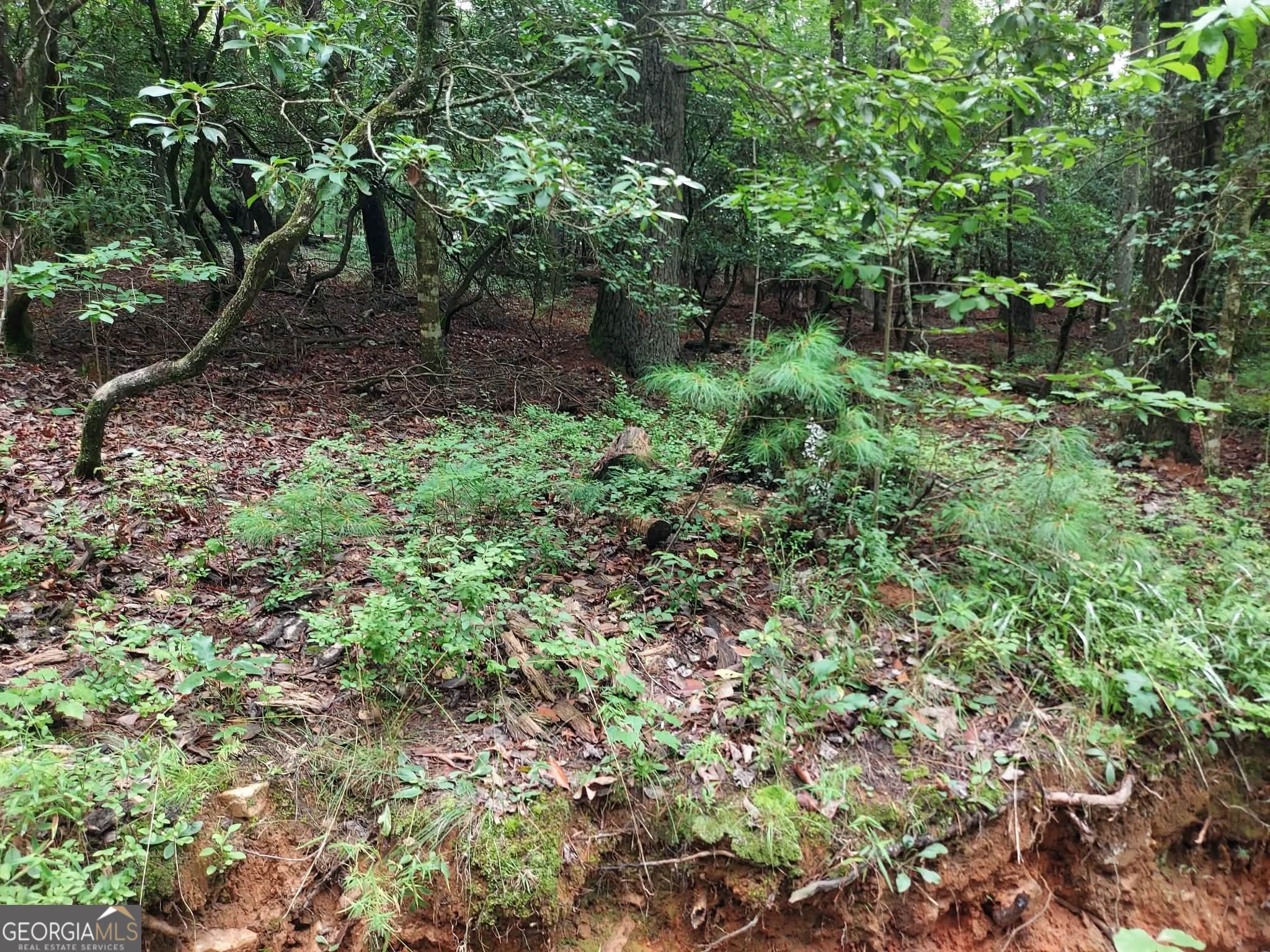 0 Lot 1a Wexford Way Lakemont GA 30552