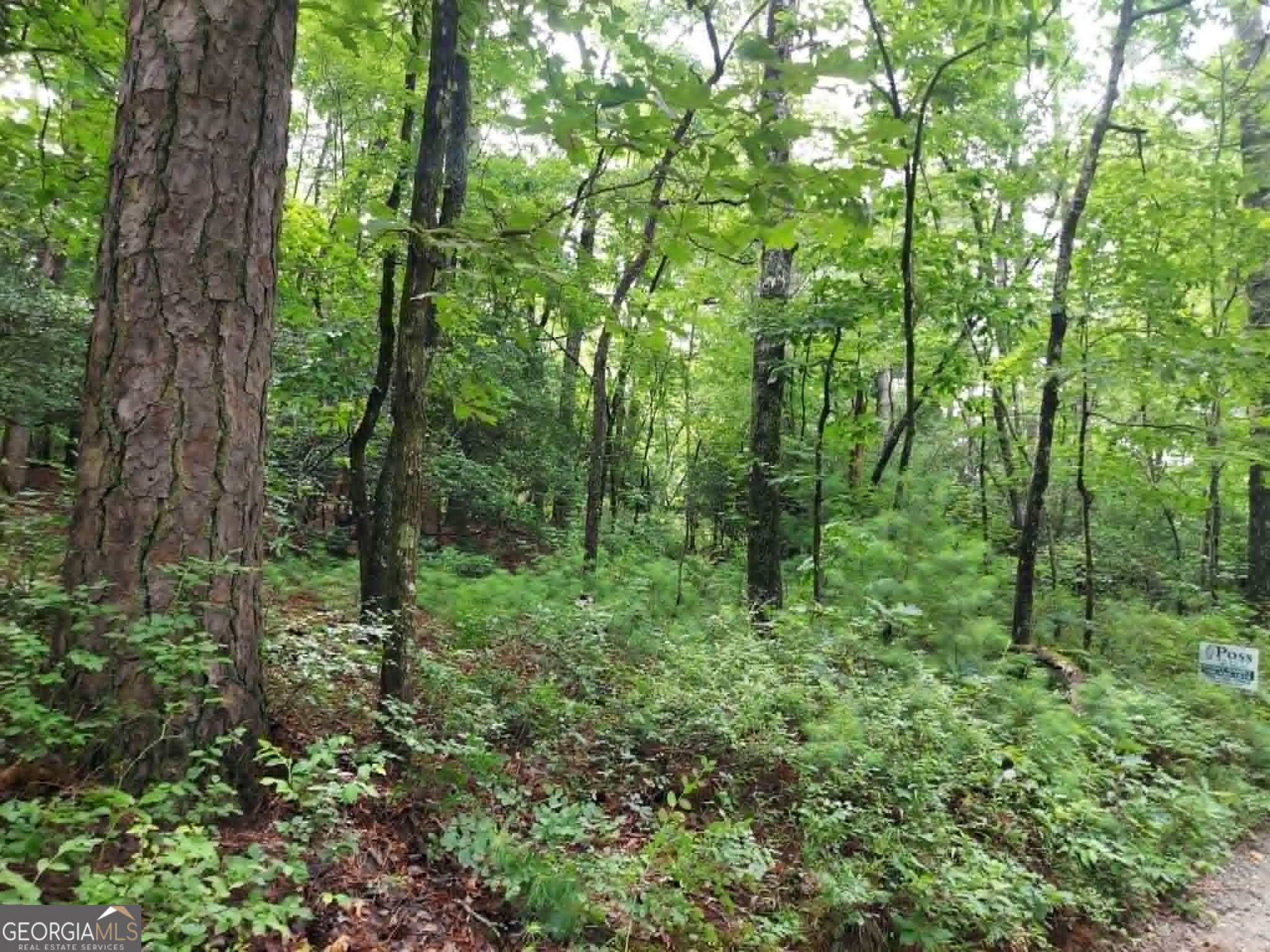 0 Lot 1a Wexford Way Lakemont GA 30552