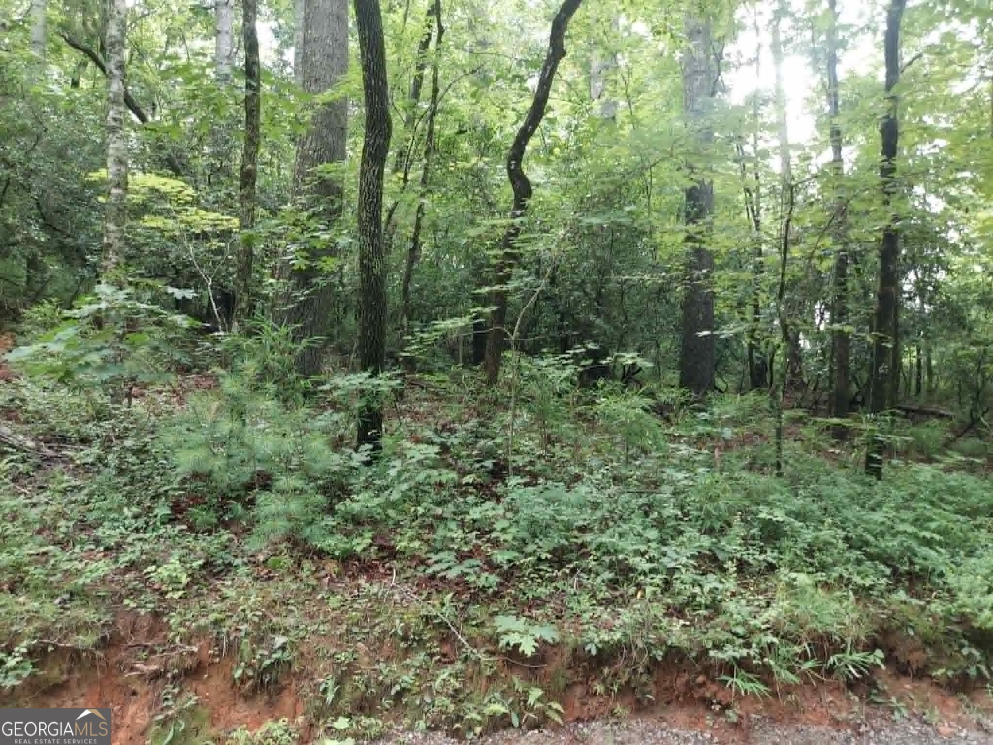 0 Lot 1a Wexford Way Lakemont GA 30552