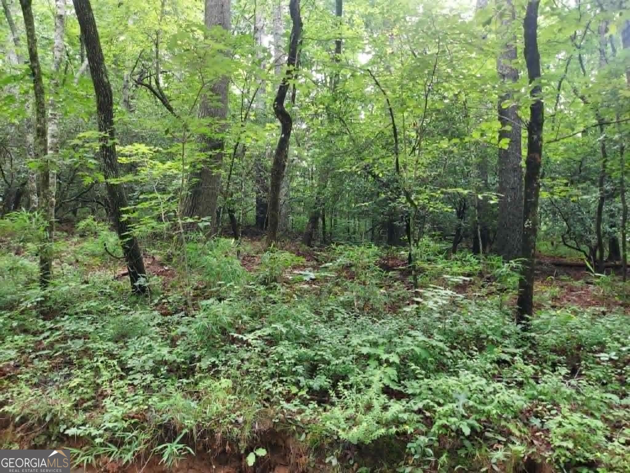 0 Lot 1a Wexford Way Lakemont GA 30552