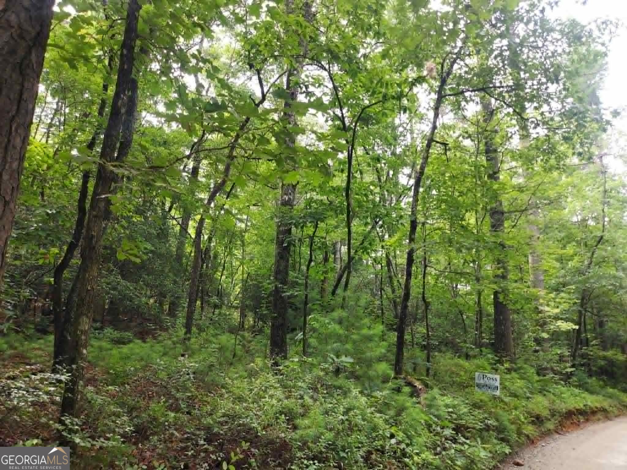 0 Lot 1a Wexford Way Lakemont GA 30552