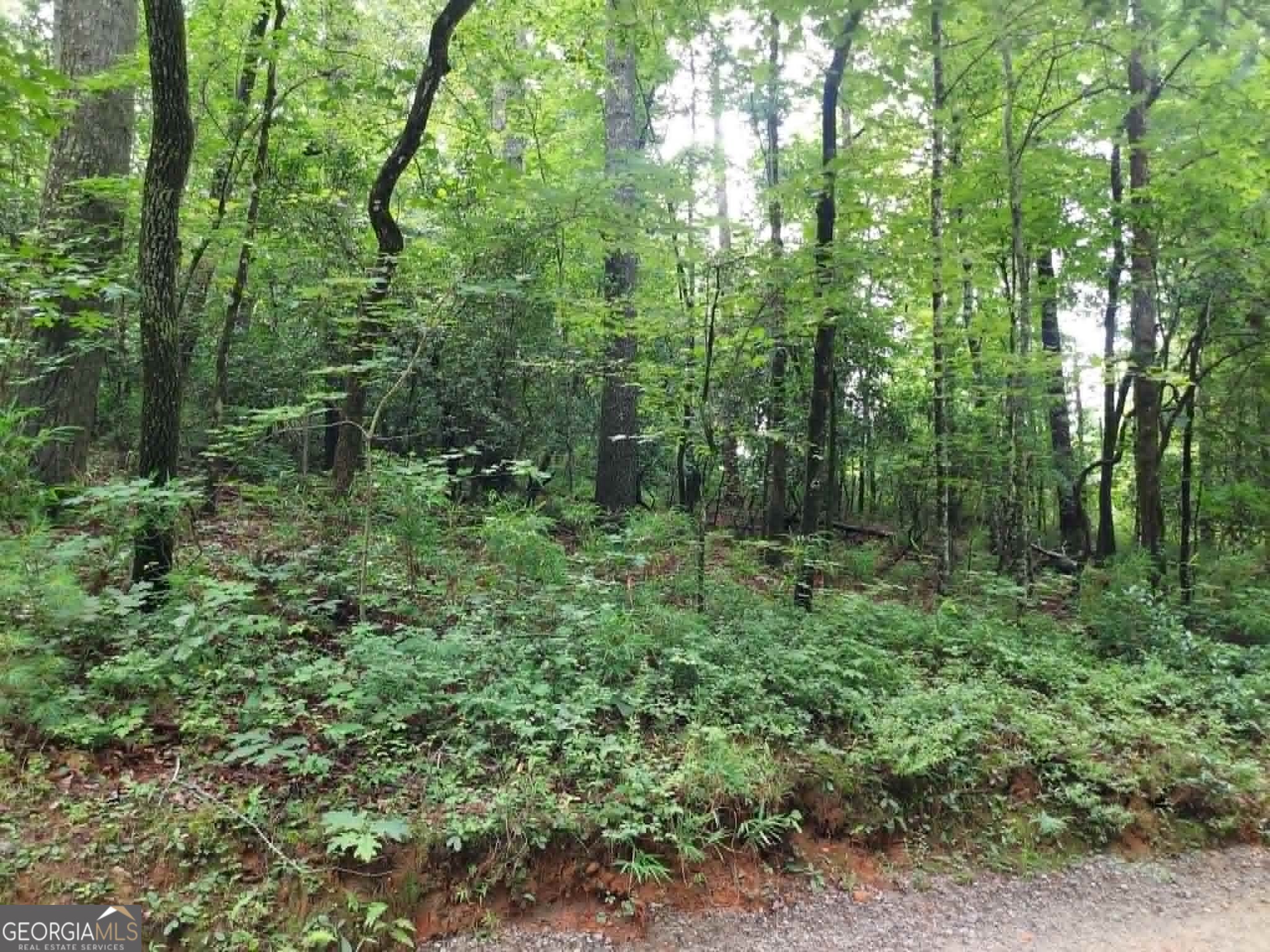 0 Lot 1a Wexford Way Lakemont GA 30552
