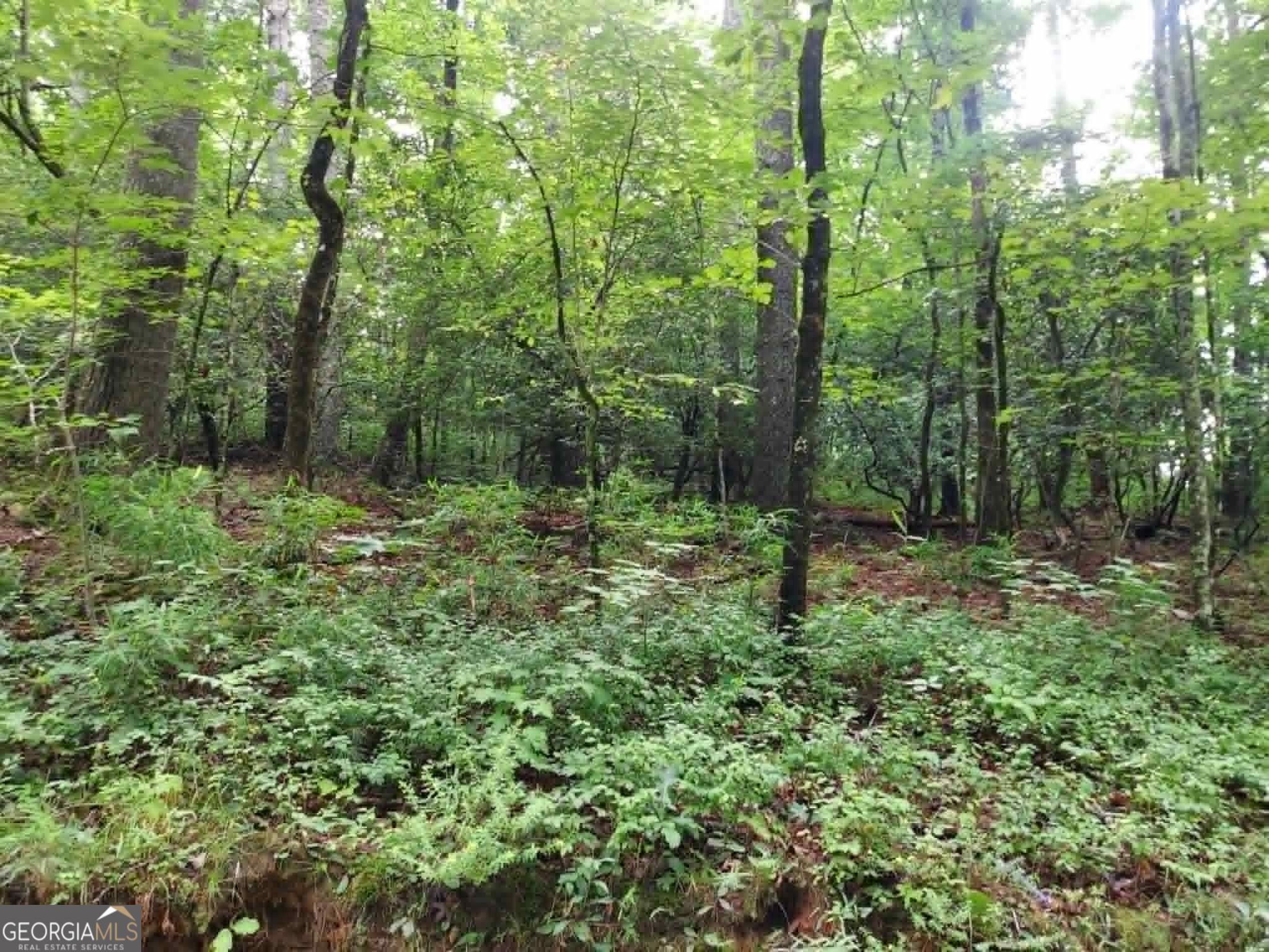 0 Lot 1a Wexford Way Lakemont GA 30552