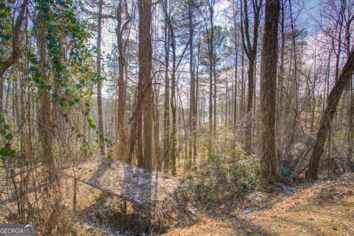 20 Pine Forest Circle Gainesville GA 30504