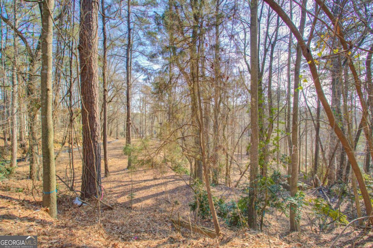 20 Pine Forest Circle Gainesville GA 30504