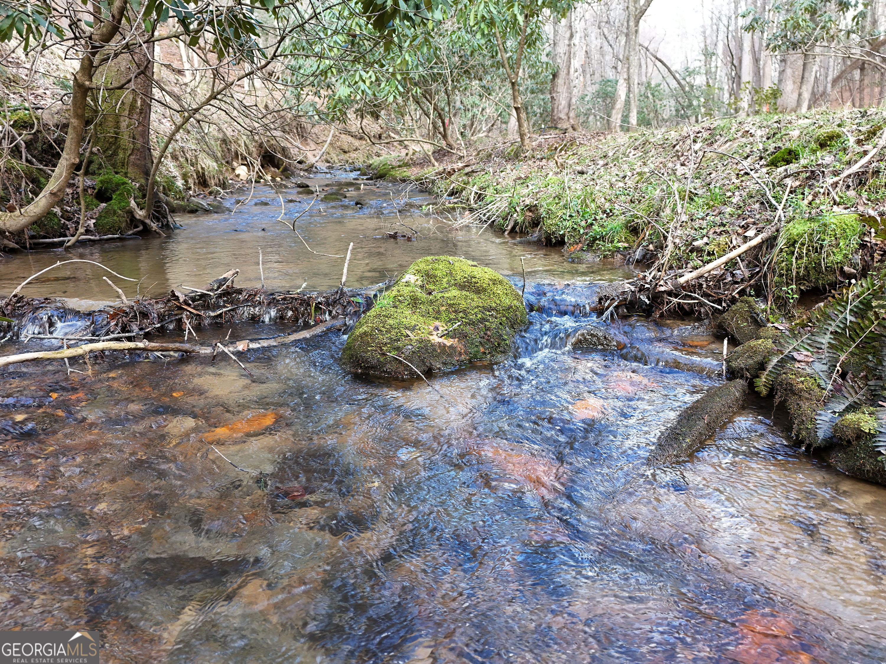 Lt 45a Synacia Drive Mineral Bluff GA 30559