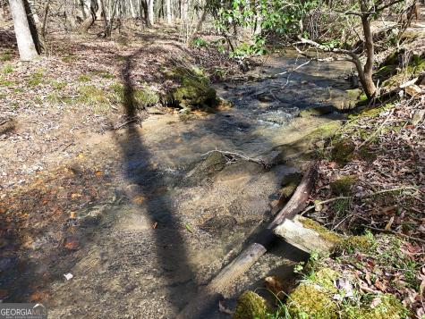 Lt 45a Synacia Drive Mineral Bluff GA 30559