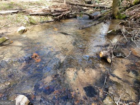 Lt 45a Synacia Drive Mineral Bluff GA 30559