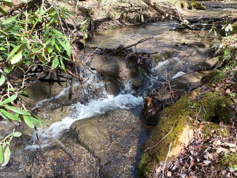 Lt 45a Synacia Drive Mineral Bluff GA 30559