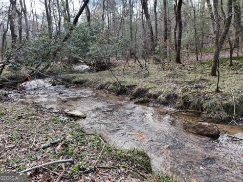 Lt 45a Synacia Drive Mineral Bluff GA 30559