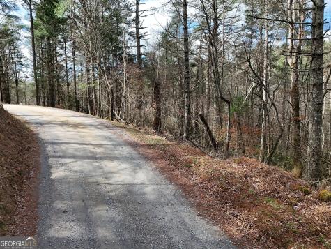 Lt 45a Synacia Drive Mineral Bluff GA 30559