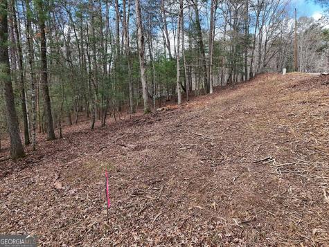 Lt 45a Synacia Drive Mineral Bluff GA 30559