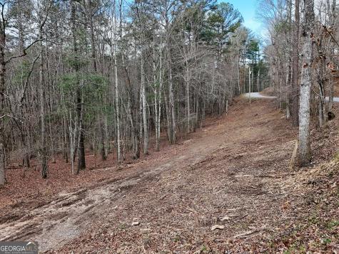 Lt 45a Synacia Drive Mineral Bluff GA 30559