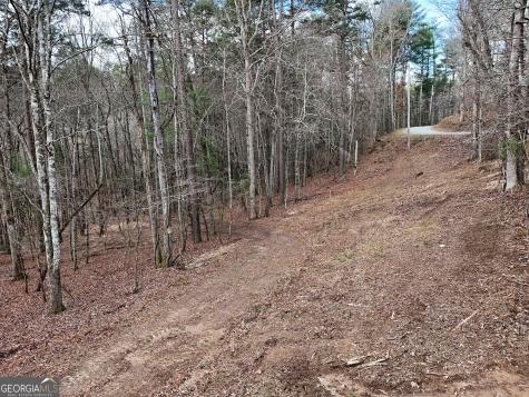 Lt 45a Synacia Drive Mineral Bluff GA 30559