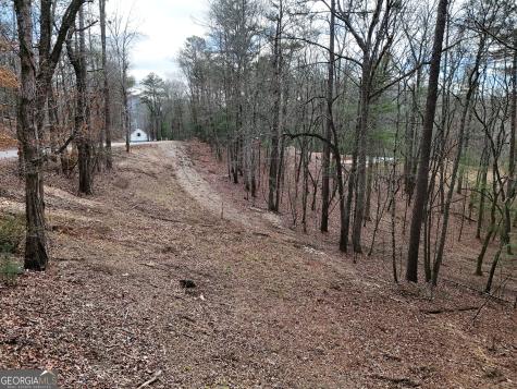 Lt 45a Synacia Drive Mineral Bluff GA 30559