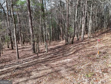Lt 45a Synacia Drive Mineral Bluff GA 30559