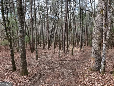 Lt 45a Synacia Drive Mineral Bluff GA 30559