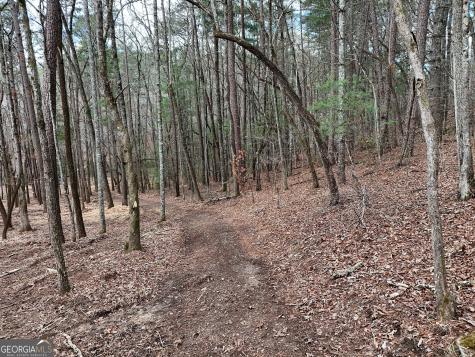 Lt 45a Synacia Drive Mineral Bluff GA 30559