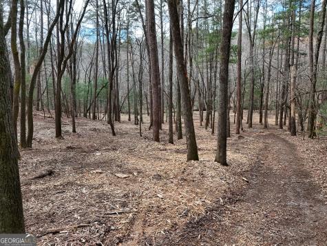 Lt 45a Synacia Drive Mineral Bluff GA 30559