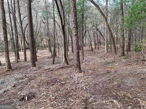 Lt 45a Synacia Drive Mineral Bluff GA 30559