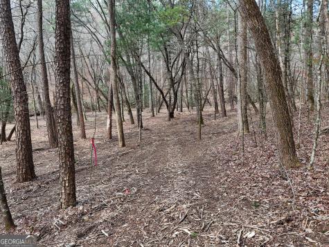 Lt 45a Synacia Drive Mineral Bluff GA 30559