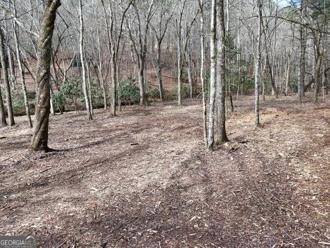Lt 45a Synacia Drive Mineral Bluff GA 30559