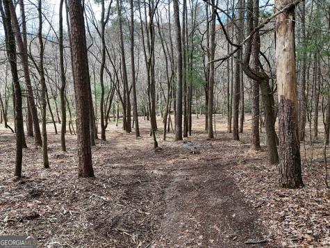 Lt 45a Synacia Drive Mineral Bluff GA 30559